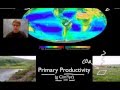 Ecosystems and Their Dynamics
