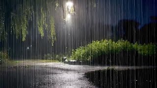 Quiet Night Walk in the Pouring Rain Sound Healing for Sleepless Nights, Insomnia Improvement