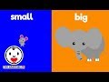 Understanding Sizes and Objects