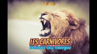 Carnivores - Secouer les Mougou
