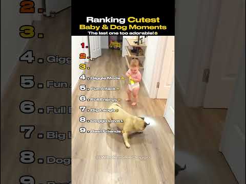 Ranking Cutest Baby & Dog Funny Moments ๐
๐ถ