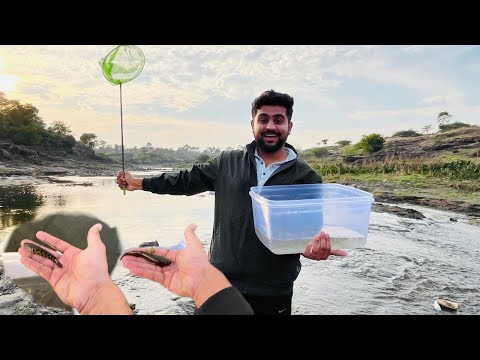 Aaj Hum River Fish Pakdne River Me Gaye 🎣, Bahot Sare Snake Head Fish Pakde