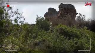 صباح الخير يا وطن مع رشا حسونة