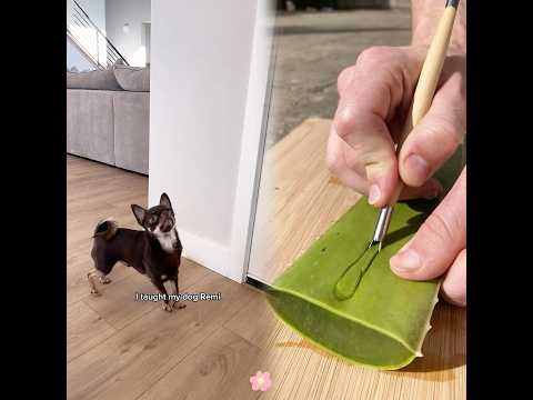 I’m so emotional over this🥹❤️