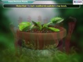 Plant Adaptations and Functions