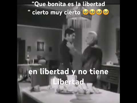 Grítenme piedras del campo