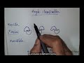 Understanding Dental Occlusion Concepts
