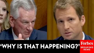 Tommy Tuberville Grills Experts On Higher Literacy Rates In Charter Schools Than Public Schools