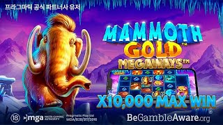 [프라그마틱 슬롯] 프라그마틱 공식 파트너사 유저 맘모스 골드 메가웨이즈 [Mammoth Gold Megaways] MAX WIN 영상 !