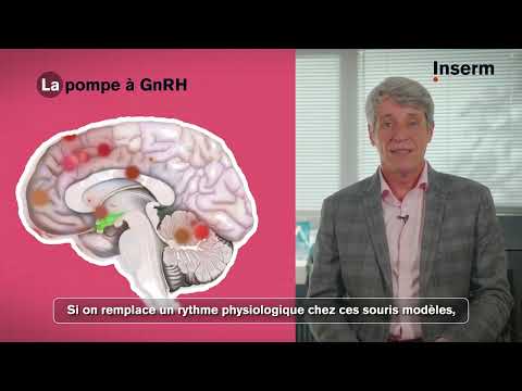 Amélioration des troubles cognitifs  - Trisomie 21 - Vincent Prévot , Prix Recherche Inserm 2024