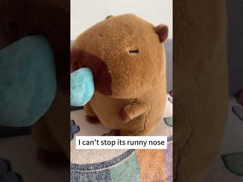 This capybara has got a cold today  #cuteplush