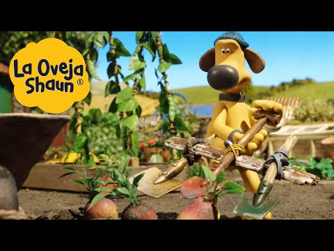 La Oveja Shaun 🐑 ¡Perro en el jardín! 🐑 Dibujos animados para niños