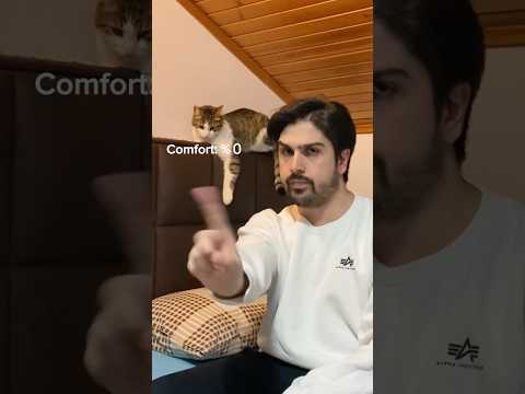 Biraz mola