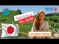 Japanese Agriculture Practices and Challenges