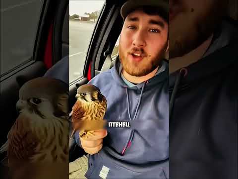 Почему Коршун живет прямо в квартире?😱