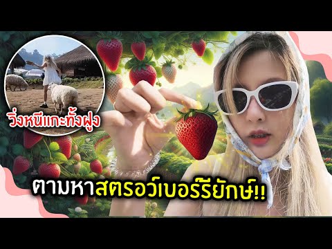 ตามหาสตรอว์เบอร์รียักษ์!! แต่ต้องวิ่งหนีแกะทั้งฝูงเพราะ.. | Jubjang