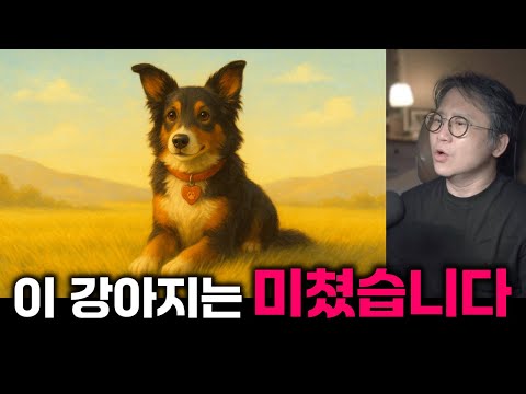 안락사 직전에 구출 된 멍멍이의 보은 #영어 #직독직해 #감동실화