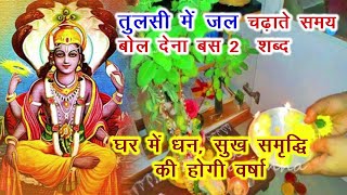 तुलसी में जल चढ़ाते हुए ये 2 शब्द जरूर बोल देना घर में धन, सुख - समृद्धि की होगी वर्षा, Tulsi puja