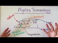 Understanding Algebraic Terms and Expressions