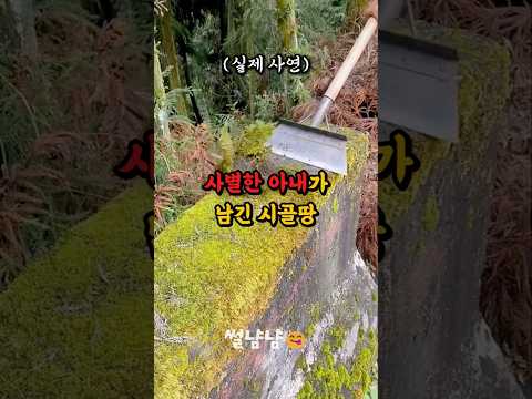 사별한 아내가 남긴 땅 아들줬더니 집안이 난리가 났네요 #shorts #부부