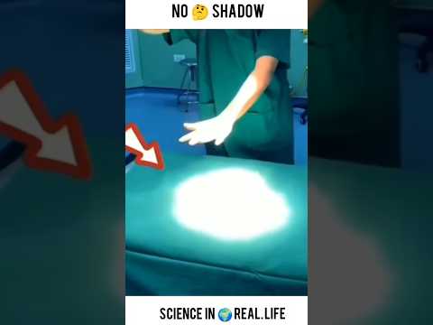 ഈ ലൈറ്റ് ഇല്ലെങ്കിൽ കാര്യം നടക്കില്ല