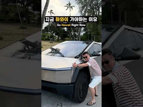 하와이 꼭 가야하는 이유