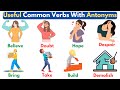 Opposites and Negations in Language