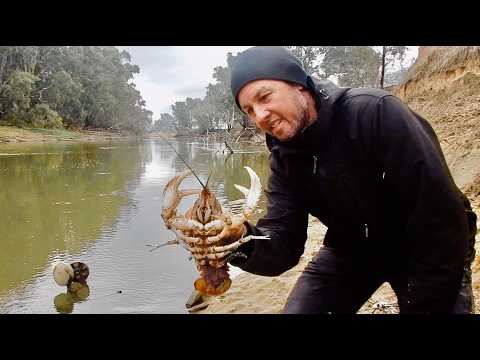 INLAND River camping Adventure.. Spiny Crayfish Catch..
