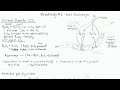 Lung Function and Gas Exchange Concepts