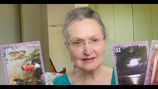 Что вам нужно знать прямо сейчас? Это Видео Нельзя Пропустить! Какой Шанс Протянет Судьба? #колена