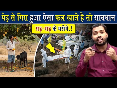जूठा फल खाने से पहले सावधान || जूठा फल खाने से खरतनाक बीमारी