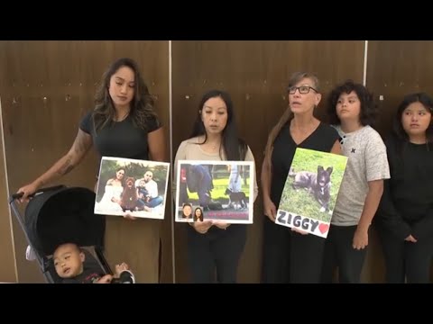YouTube video thumbnail: California Animal Trainer Charged After 11 Dogs Die in His Care