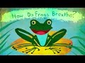 Letter Recognition and Frequency Analysis