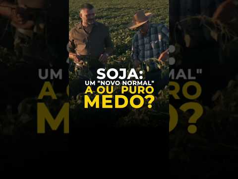 SOJA: UM "NOVO NORMAL" OU PURO MEDO?