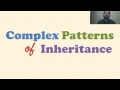 Genetics and Inheritance Concepts