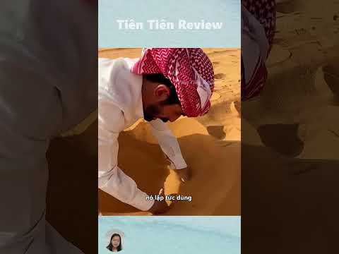 Cá mập cát là thú vui của nhà giàu Trung Đông #short #shorts #viralvideo