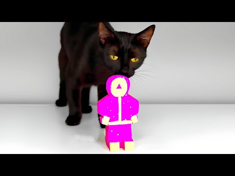 Cat Eating Squid Game ASMR Mukbang
