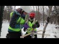 Ice Storm Research and Impacts