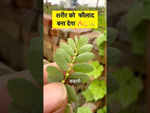 #plant #facts  #farming  #bhumiamla