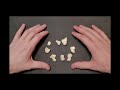 Carpal Bones and Their Functions
