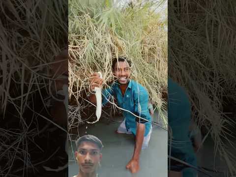#marriagecentre