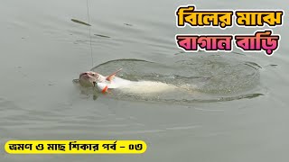 বিলের মাঝে বাগান বাড়ি ও মাছ শিকার পর্ব - ০৩ #primitivefishingbyakib