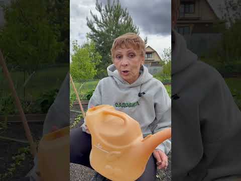 ЛАЙФХАК для ЛЕЙКИ на огороде! #полив #огород #дача
