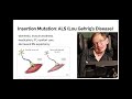 Exploring DNA Mutations