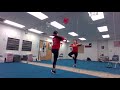 Understanding the Video Tutorial