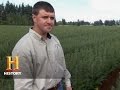 Christmas Tree Production Processes