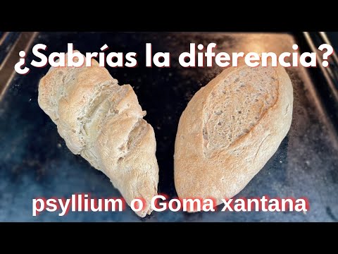 Pan Sin gluten  😱¿Se puede sustituir la goma xantana por psyllium?