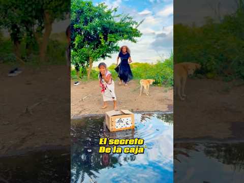 16 de mayo de 2025