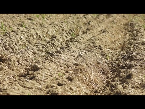 YouTube video thumbnail: Maine Farmers Forced to Truck in Thousands of Gallons of Water Amid Drought Conditions