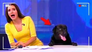 عمل يستغرق عدة ساعات و الحيوانات تفسده في دقيقة !!